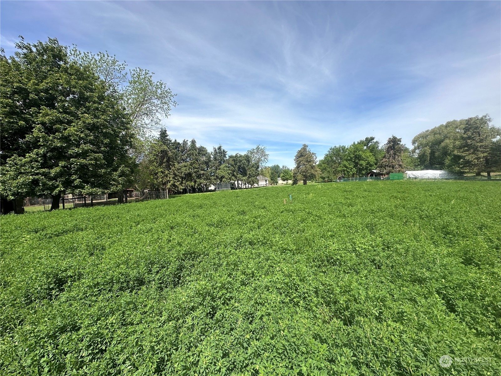 a view of a field of grass and trees