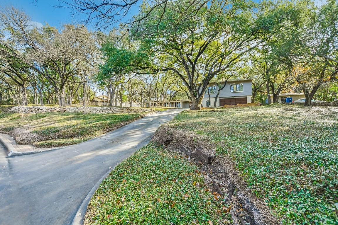 a view of a yard with plants and trees