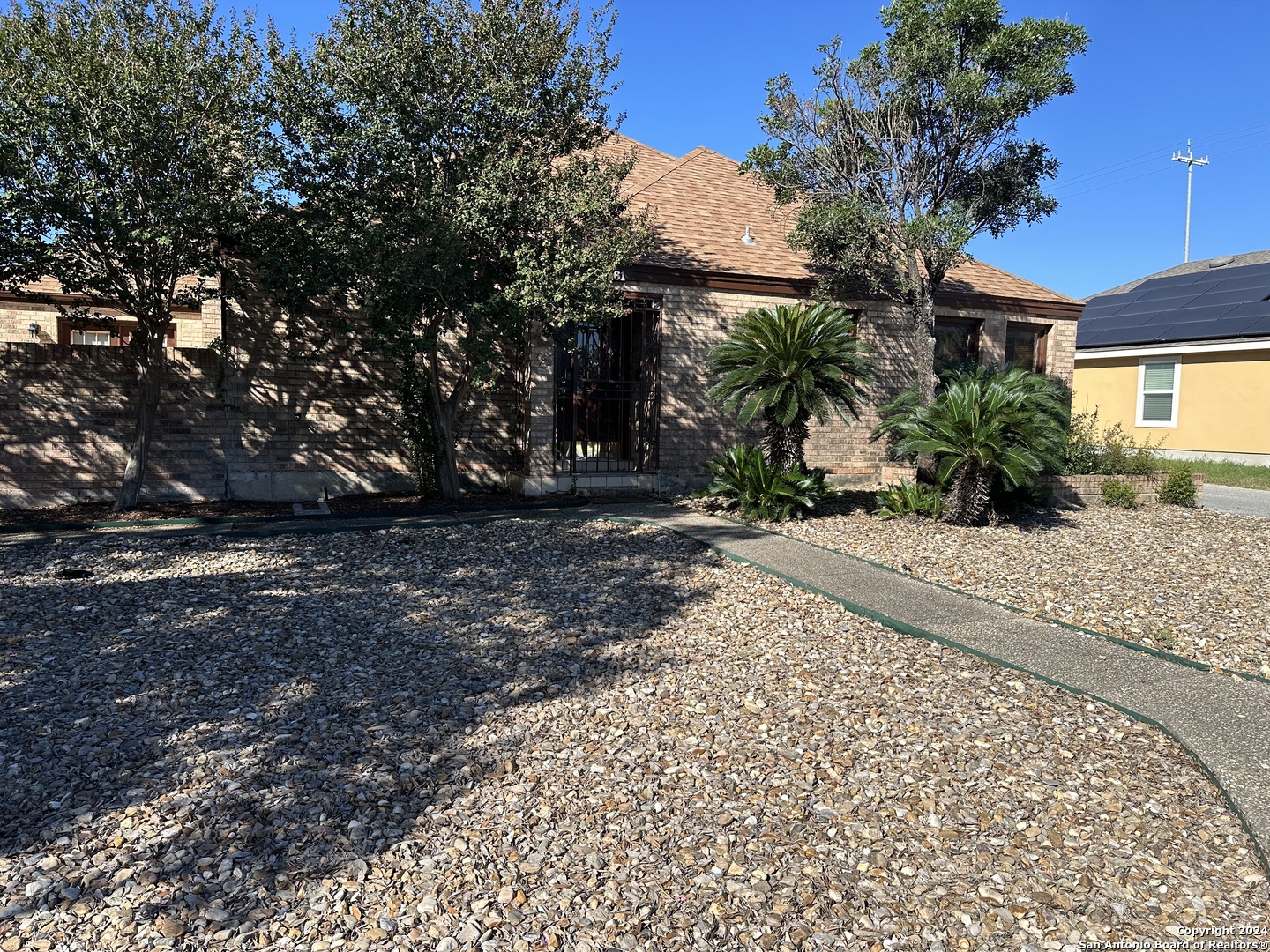 a view of a yard with plants and trees