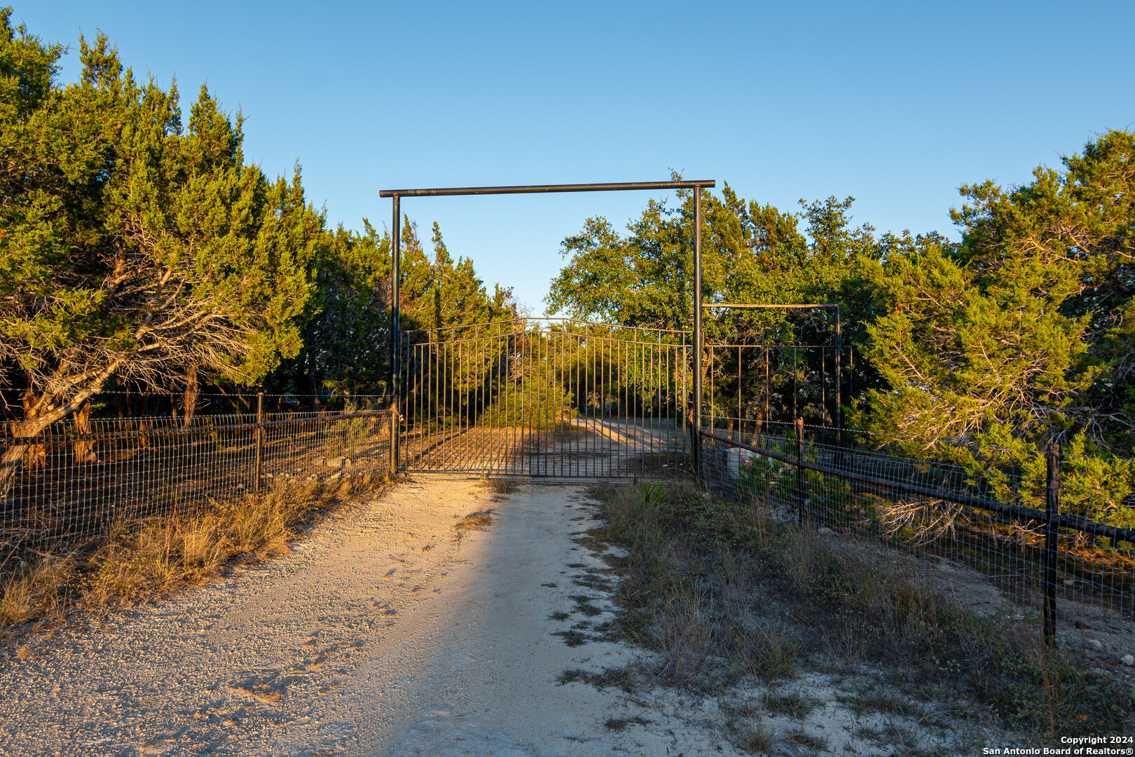 a view of a yard with trees