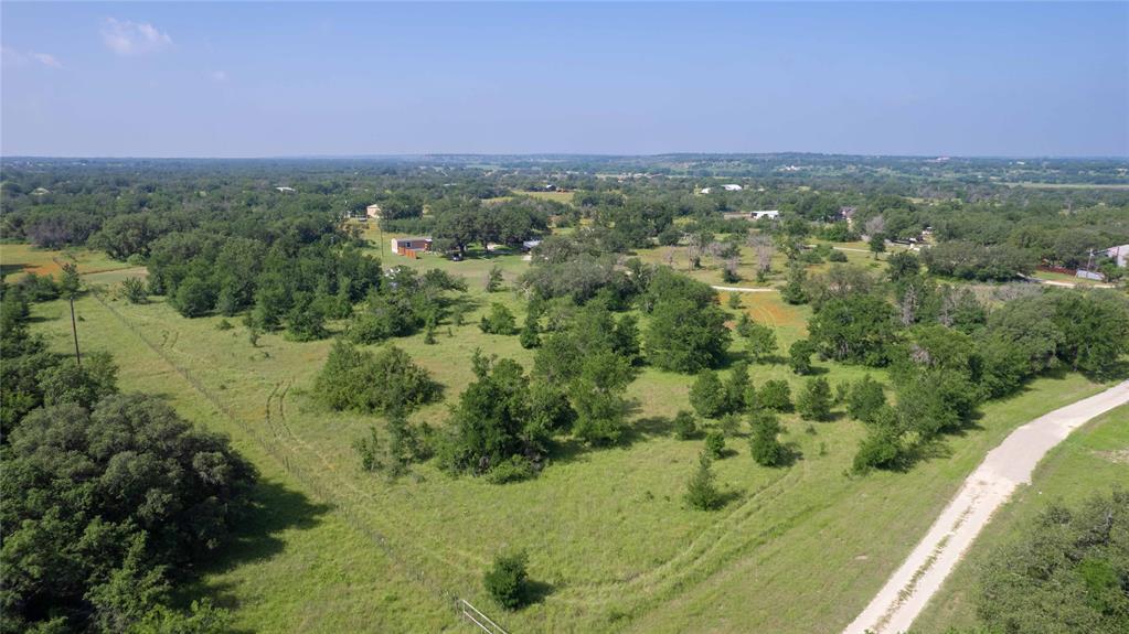 a view of a lush green field with lots of bushes