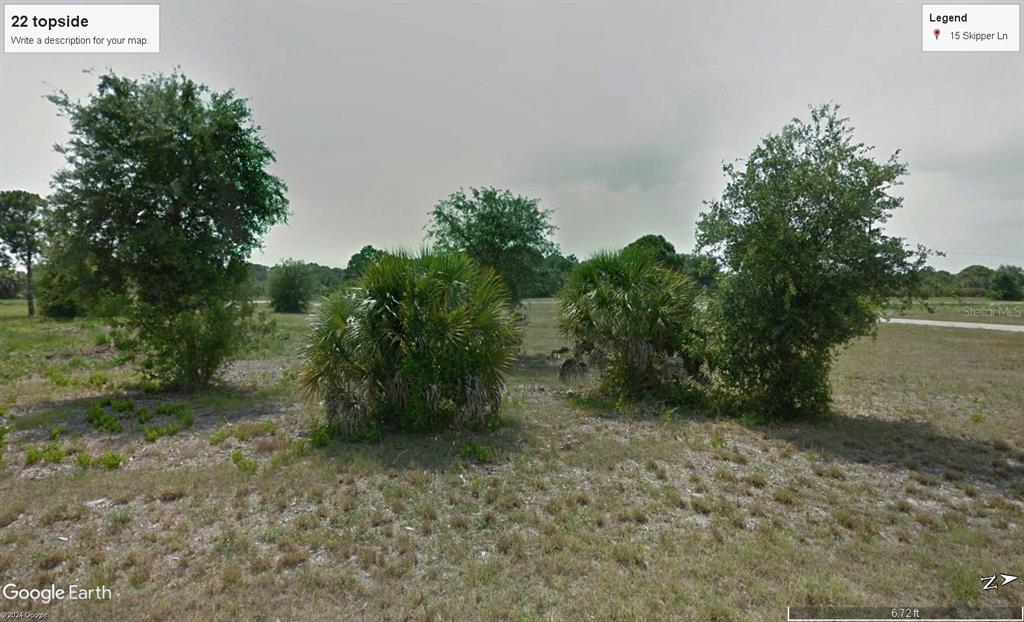 a view of a yard with plants and large trees