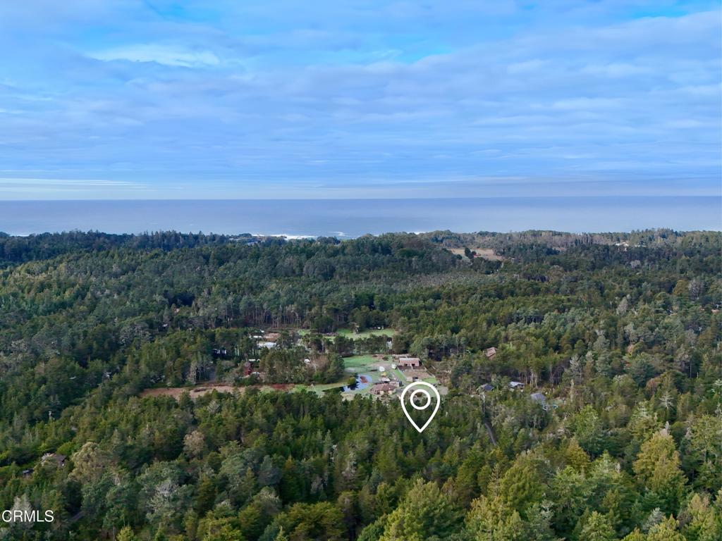 a view of a city with lush green forest