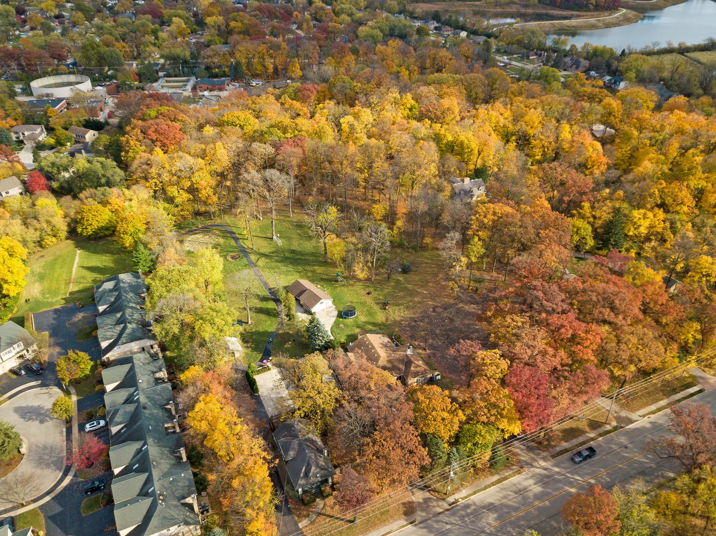 a view of a yard