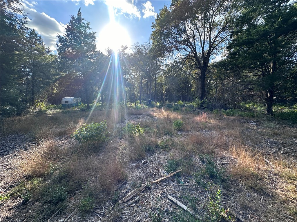 a view of a backyard with tree s