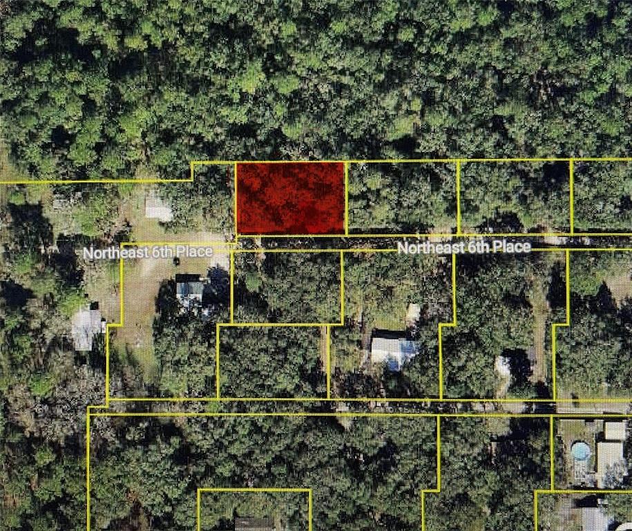 an aerial view of houses covered with trees