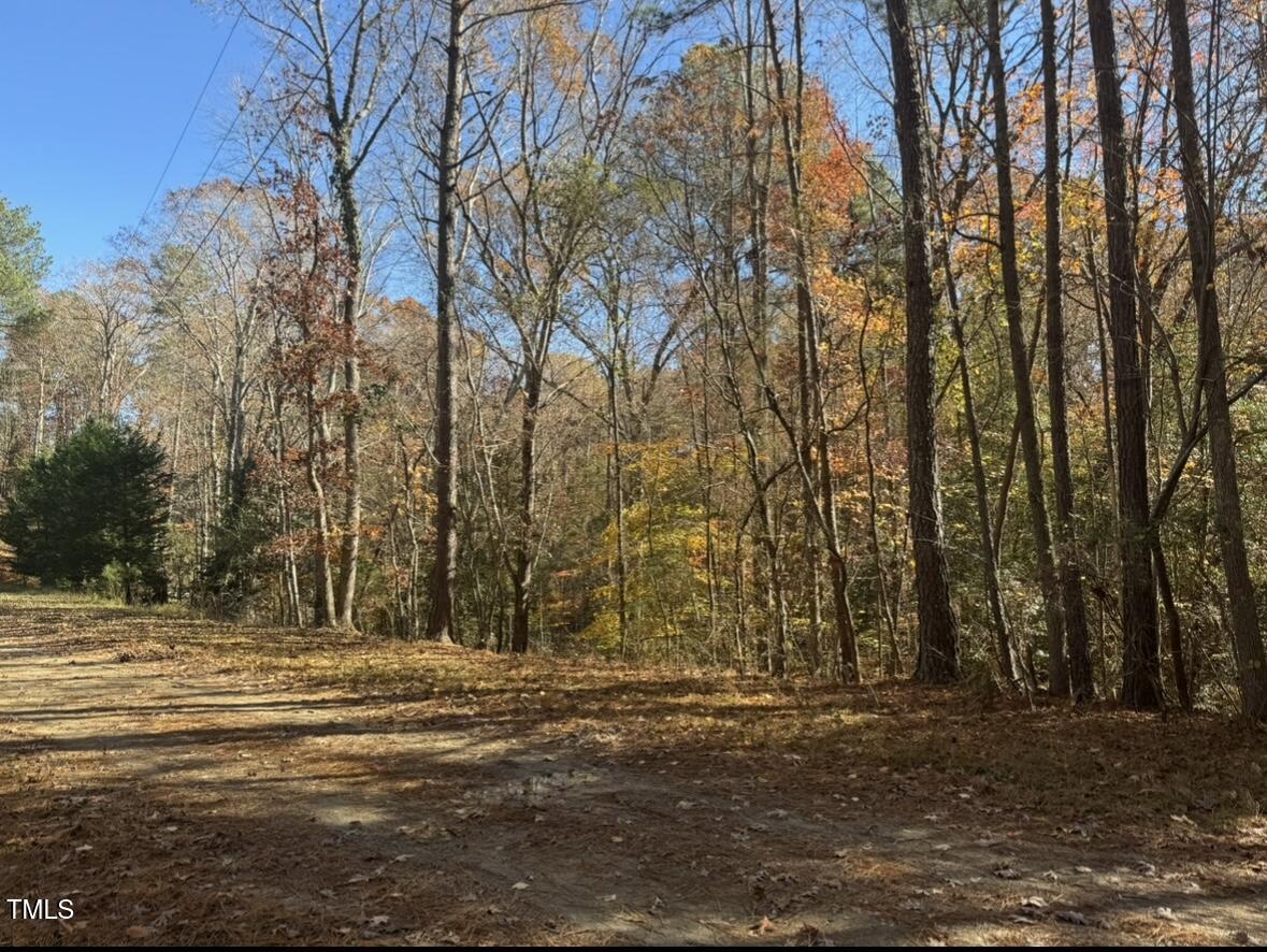 a view of outdoor space with trees