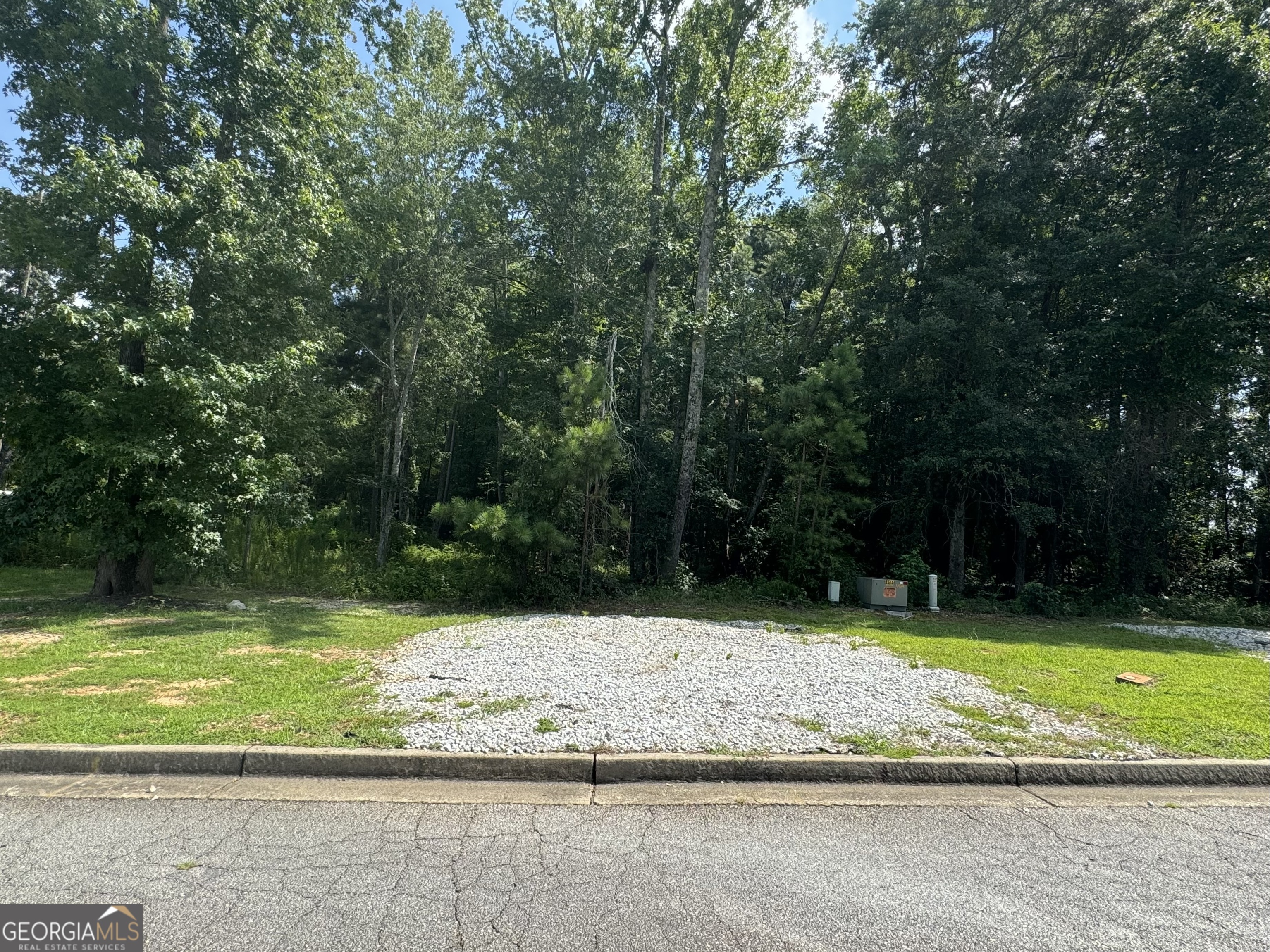 a view of a tree with a yard