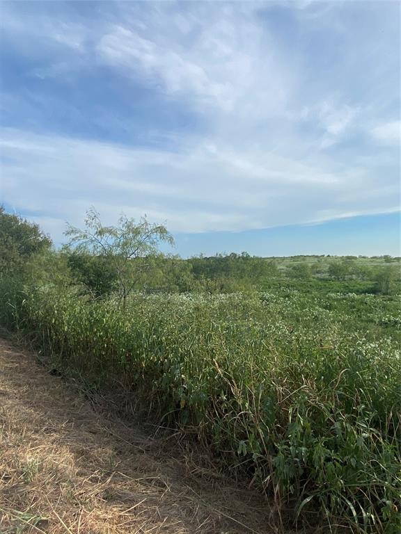 a view of a green field with lots of bushes