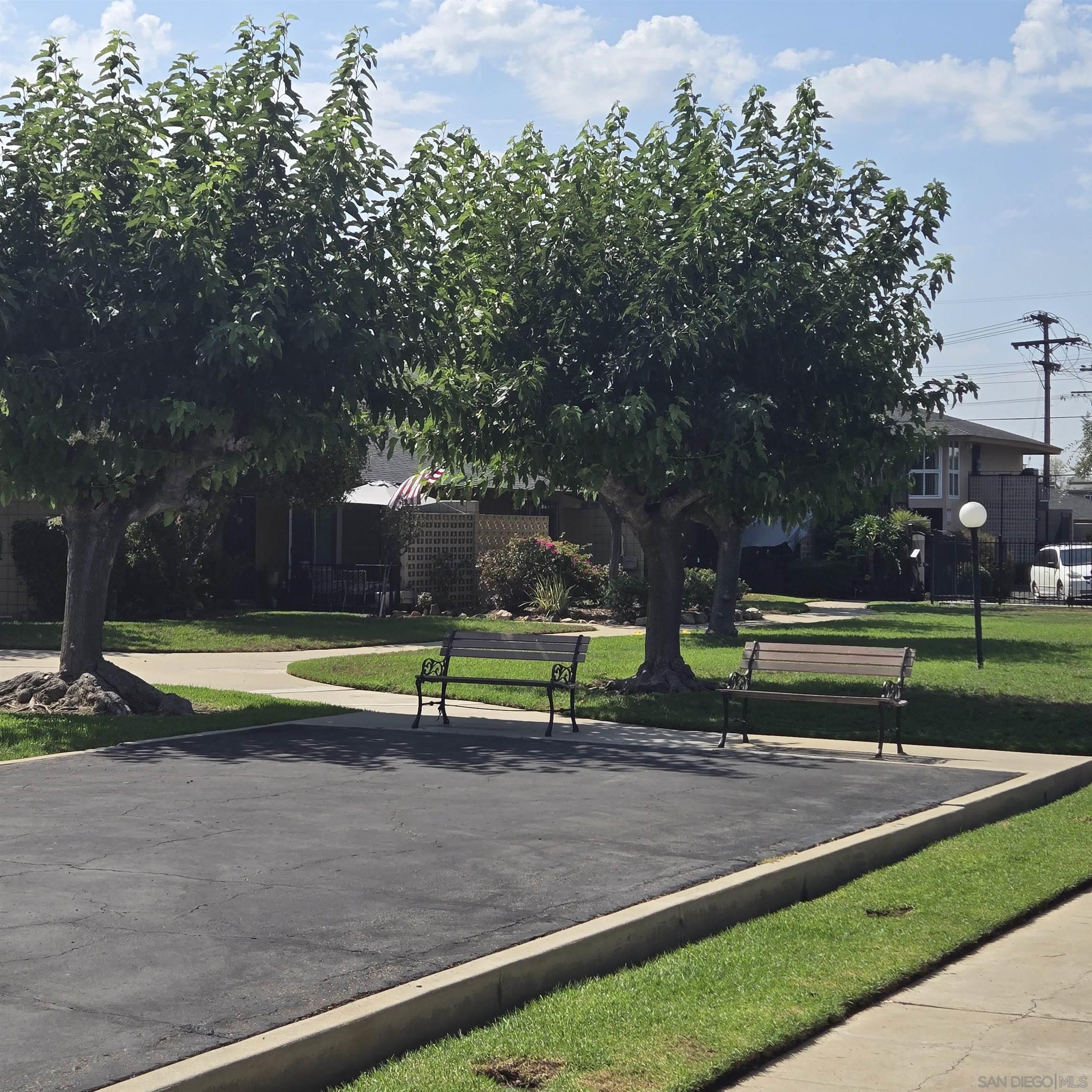 a view of a yard with palm trees