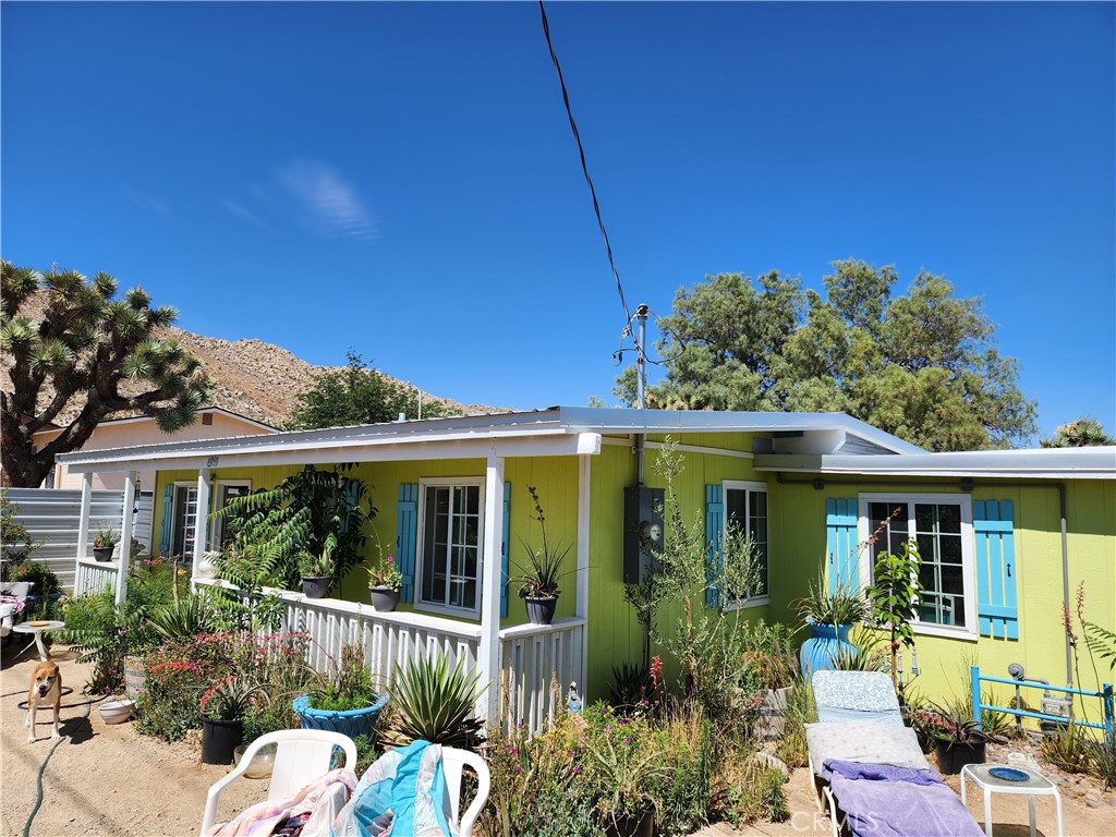 a view of house with a yard and potted plants