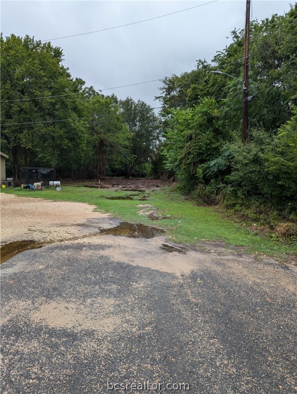 a view of a yard with of trees