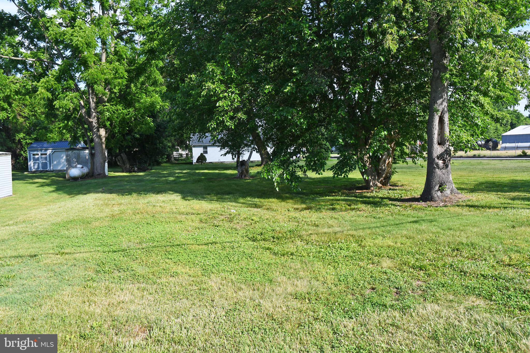 a view of a backyard with large trees