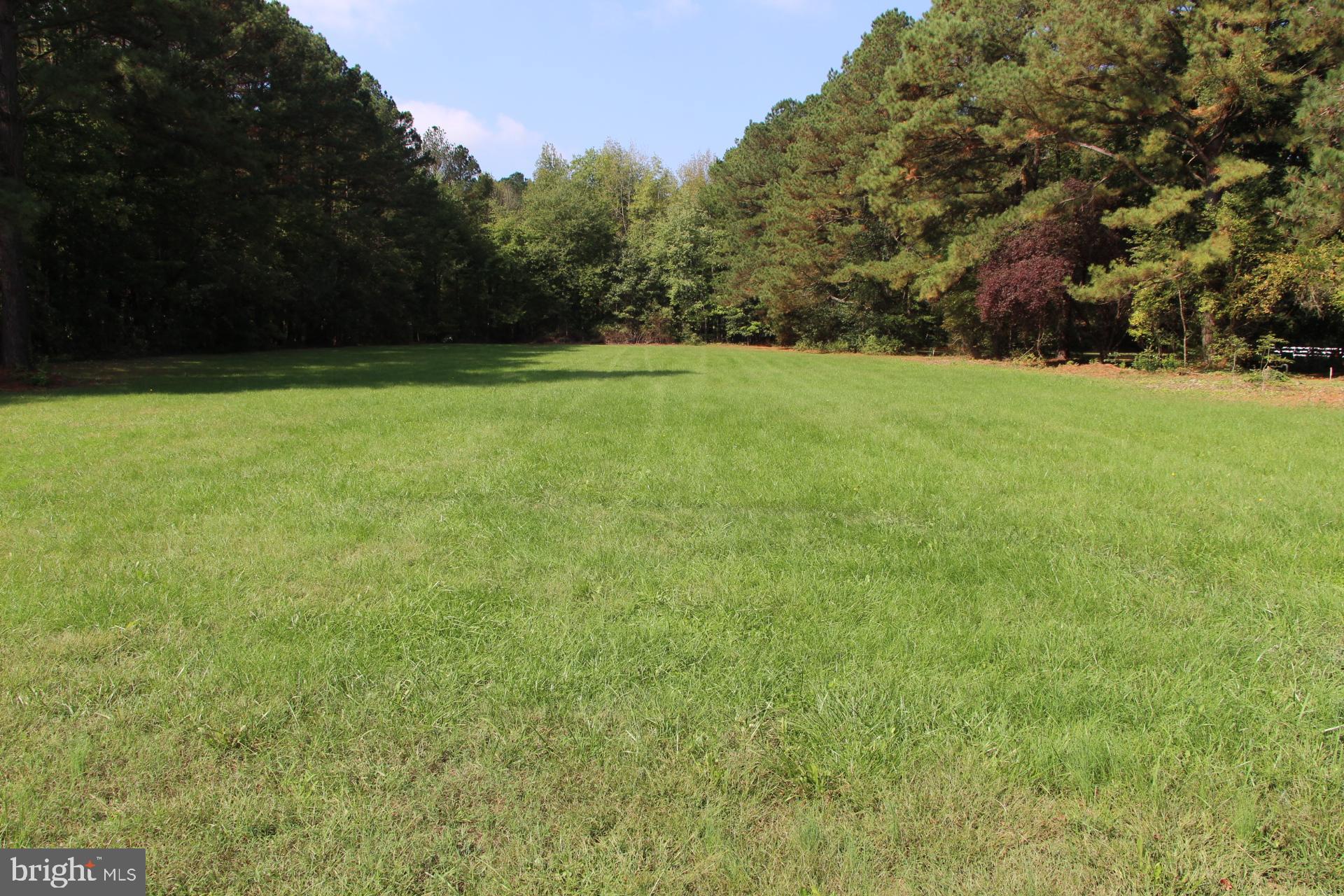 a view of green field with trees in the background