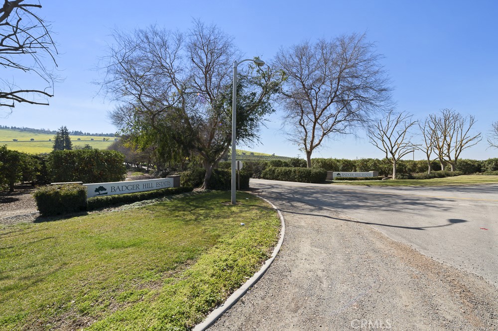 a view of swimming pool with a yard