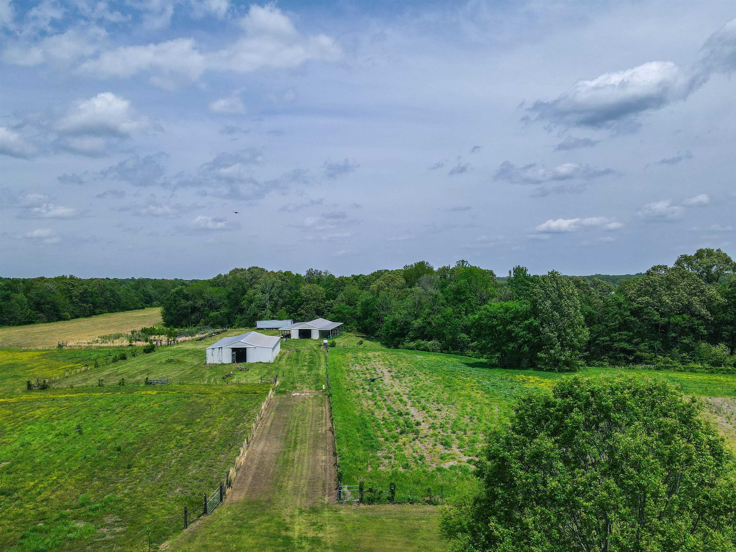 a view of a lush green field