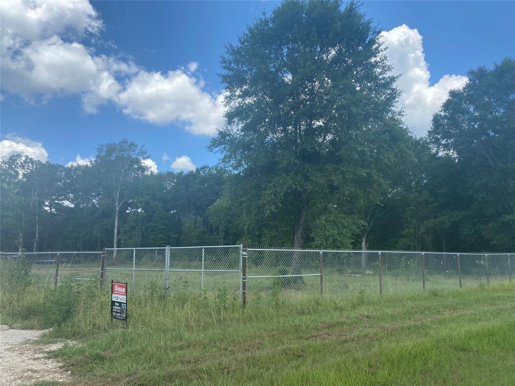 a backyard of field and trees