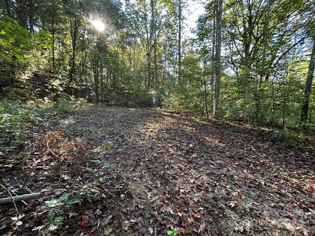 $66,000 | 0 Us Highway | Shiloh Township - Iredell County