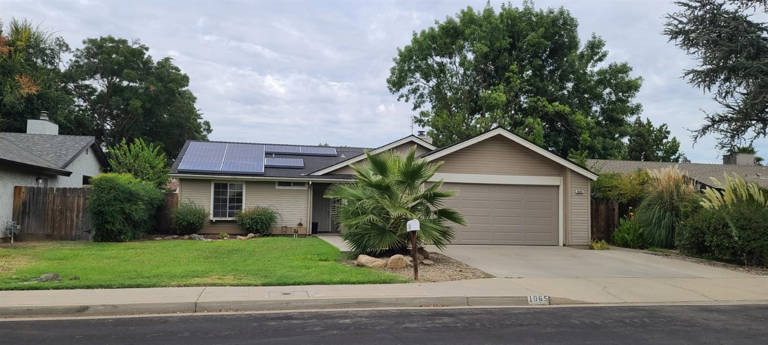 a house that has a tree in front of it