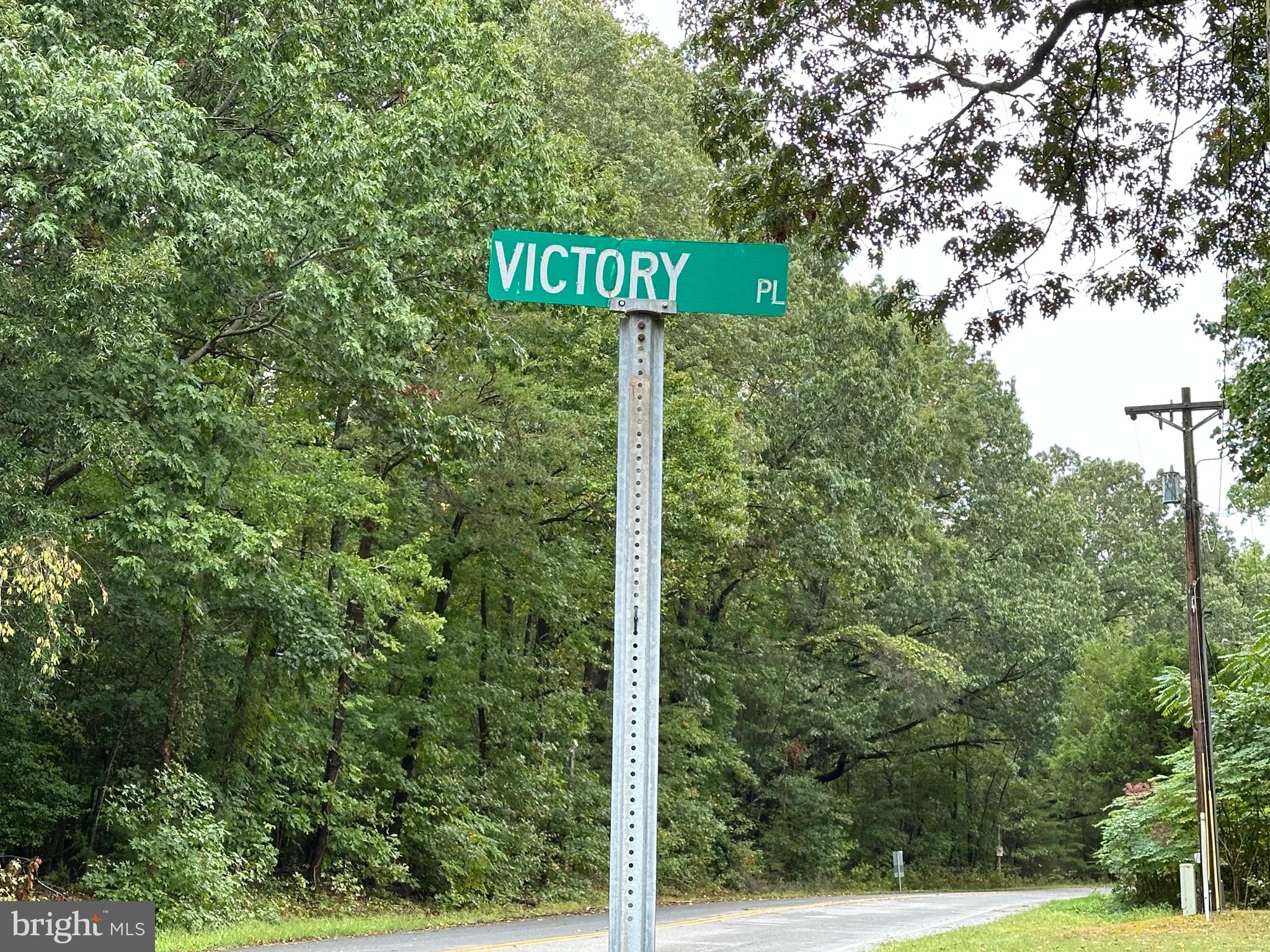 a view of a street sign