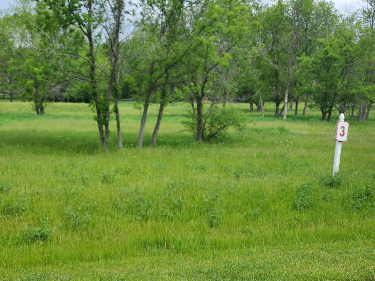 a view of grassy field with trees