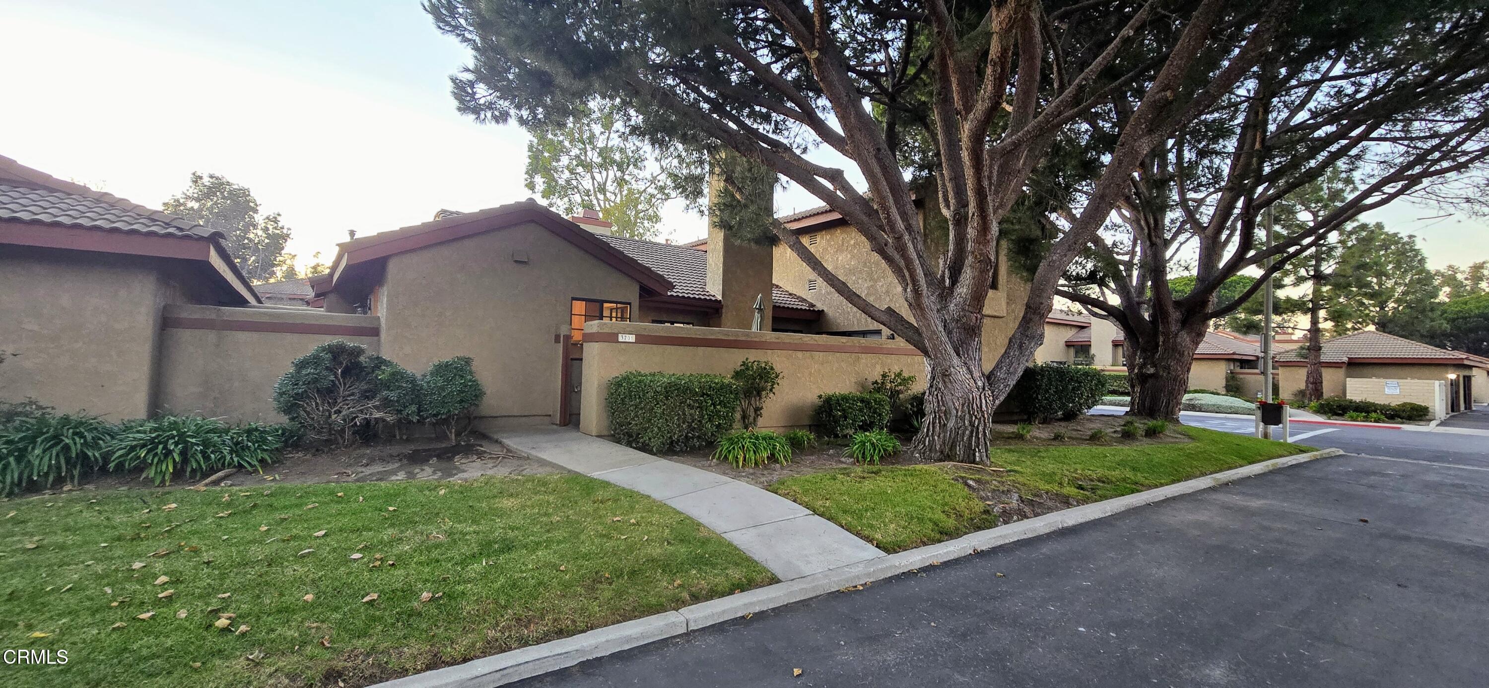 a view of a house with a small yard and large trees