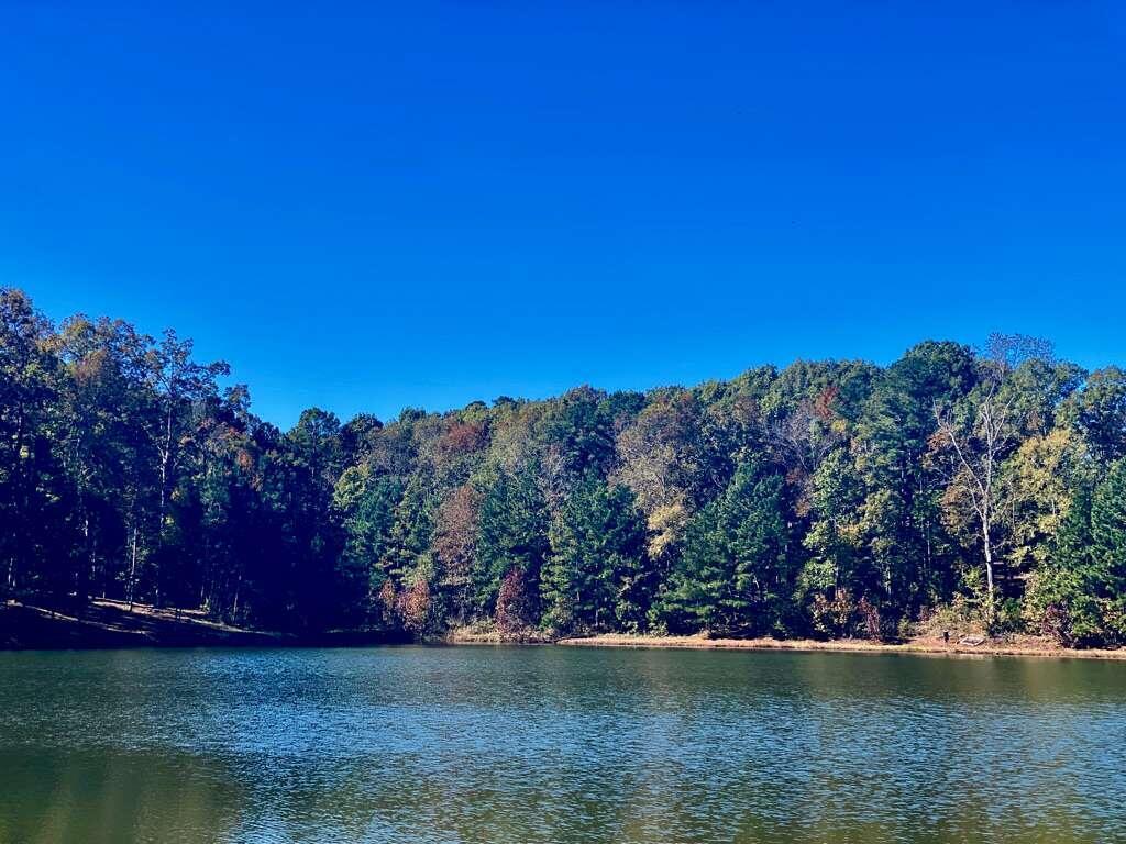 a view of lake and trees