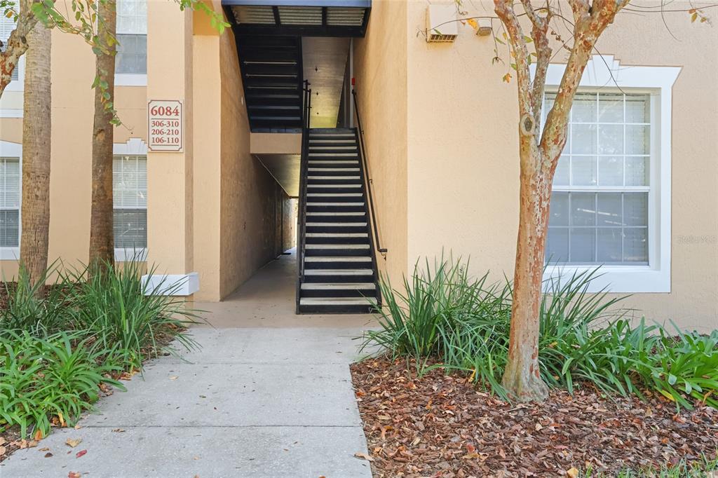 a couple of potted plants in front of door