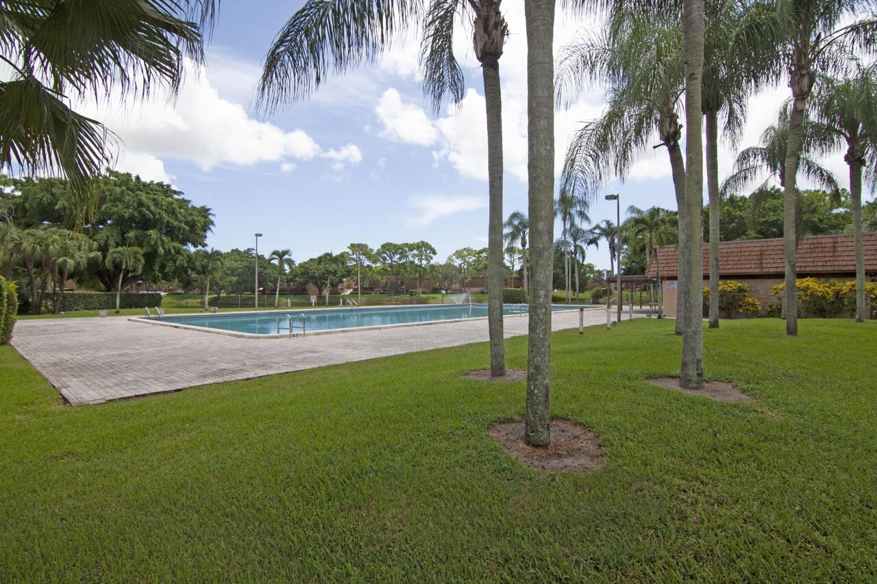 a garden view with palm trees