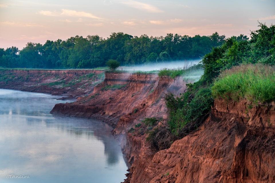 a view of a lake in middle of forest