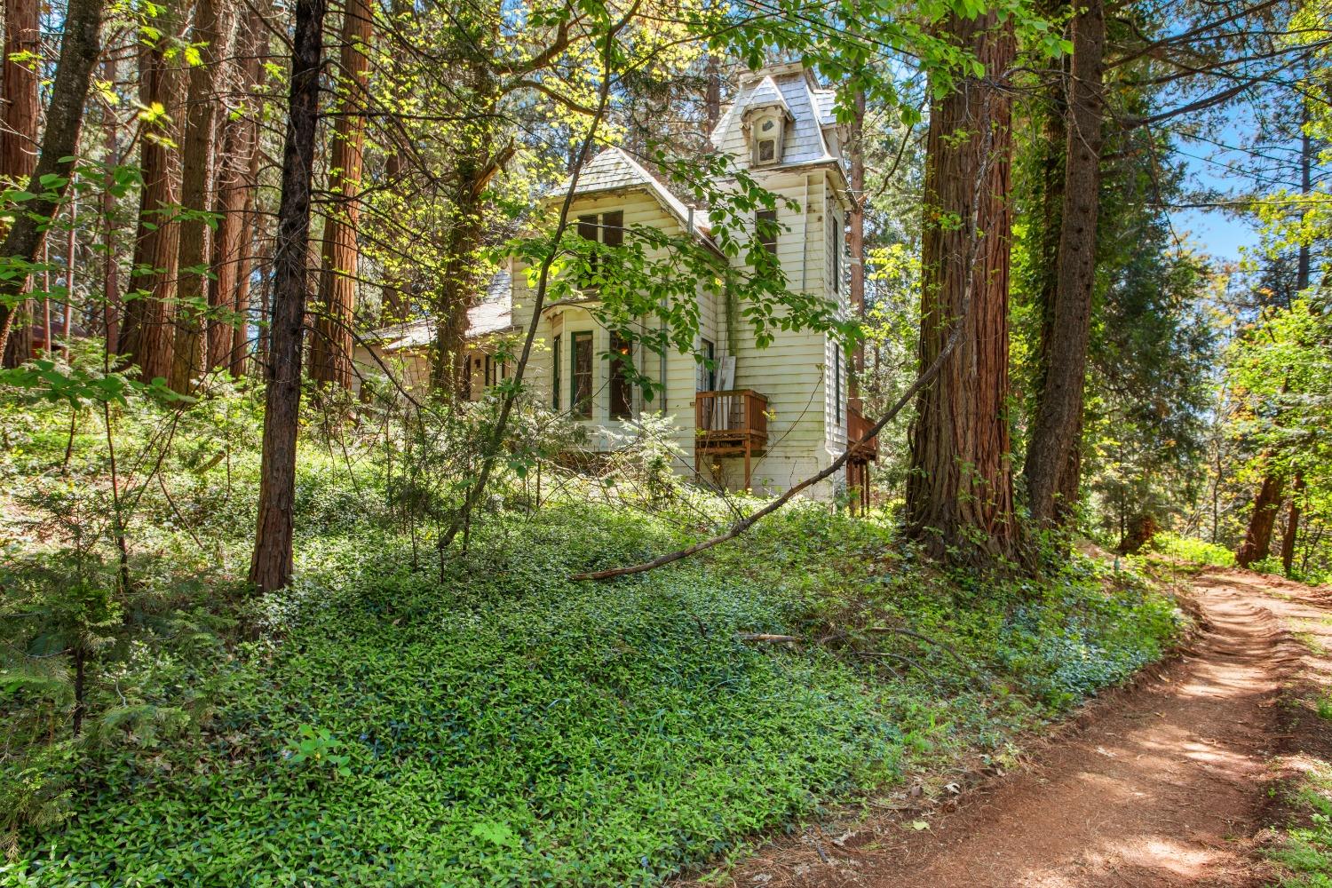 a view of outdoor space and yard