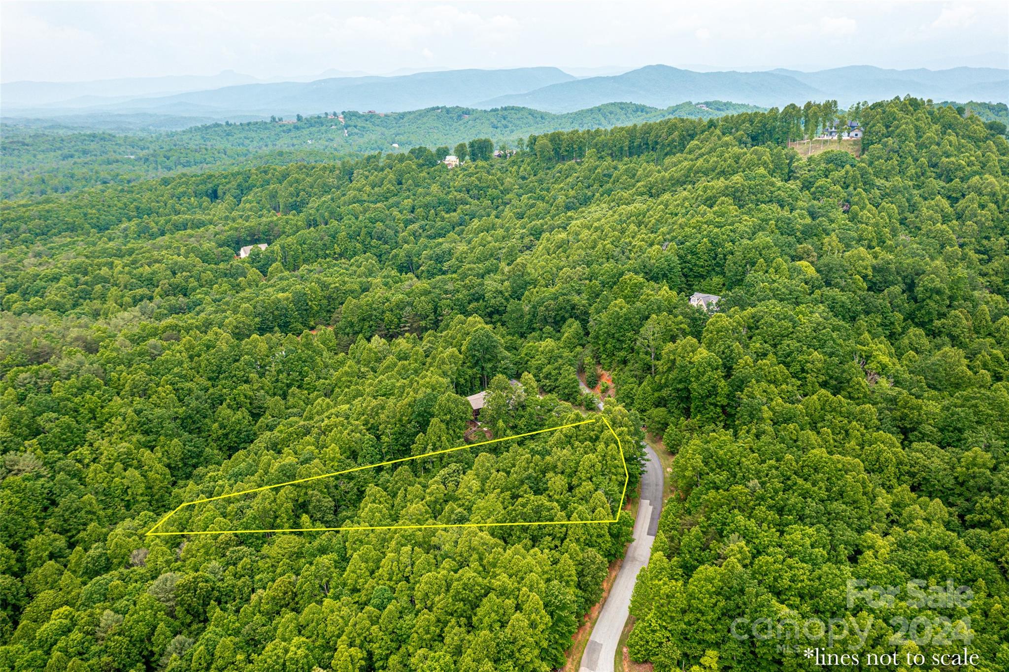 a view of a lush green forest with trees and some houses