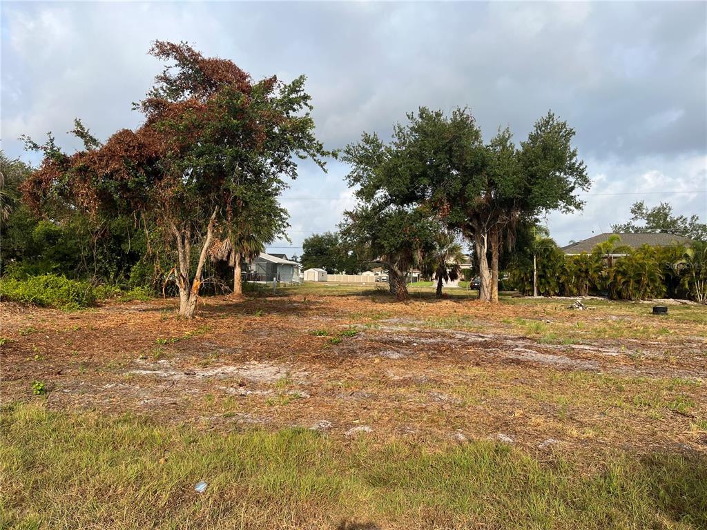 a view of outdoor space with trees