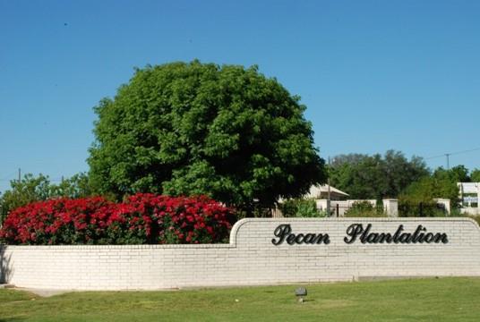 a view of garden with flowers and trees