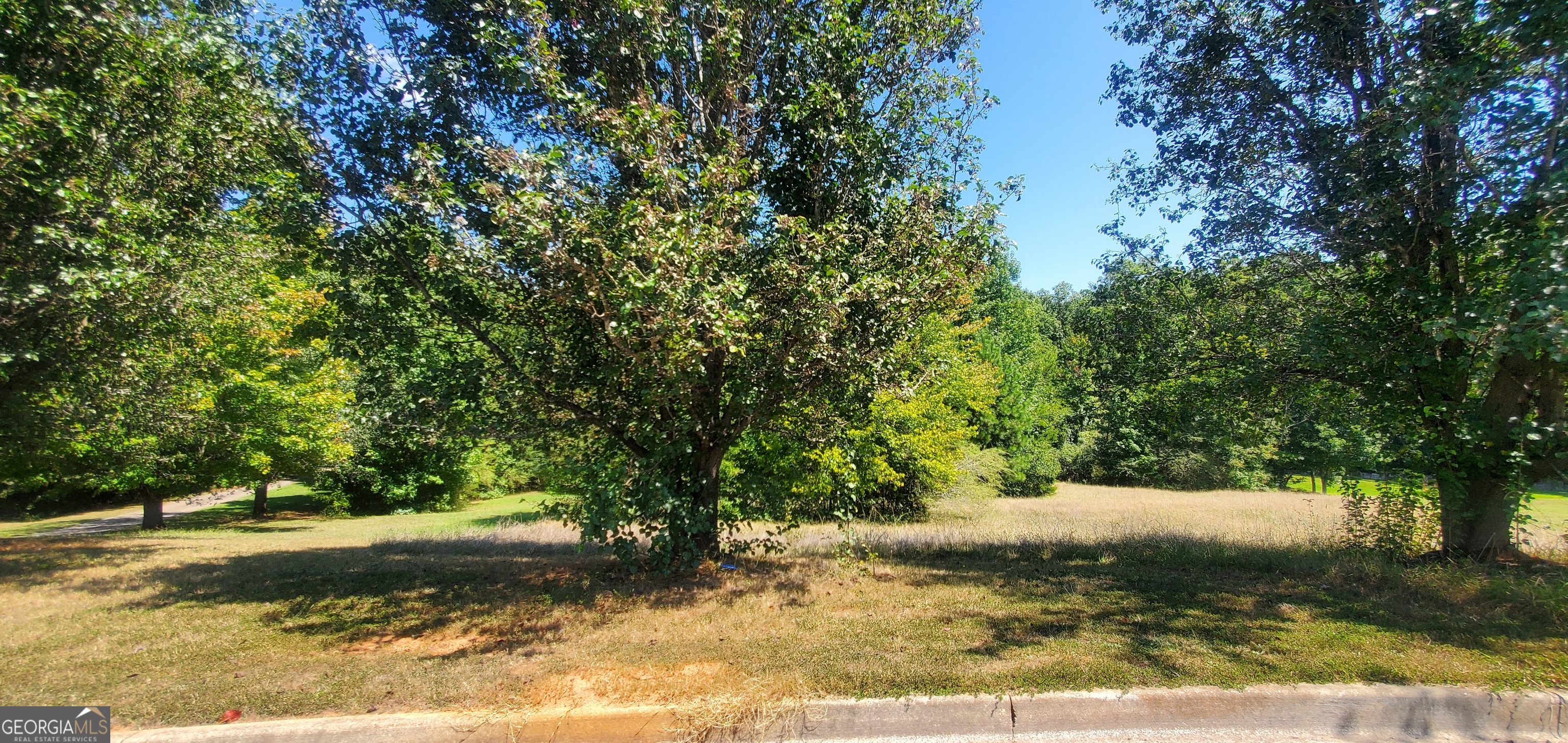 a view of a yard with a tree