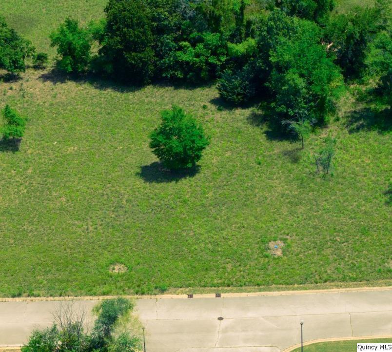 a view of backyard with green space