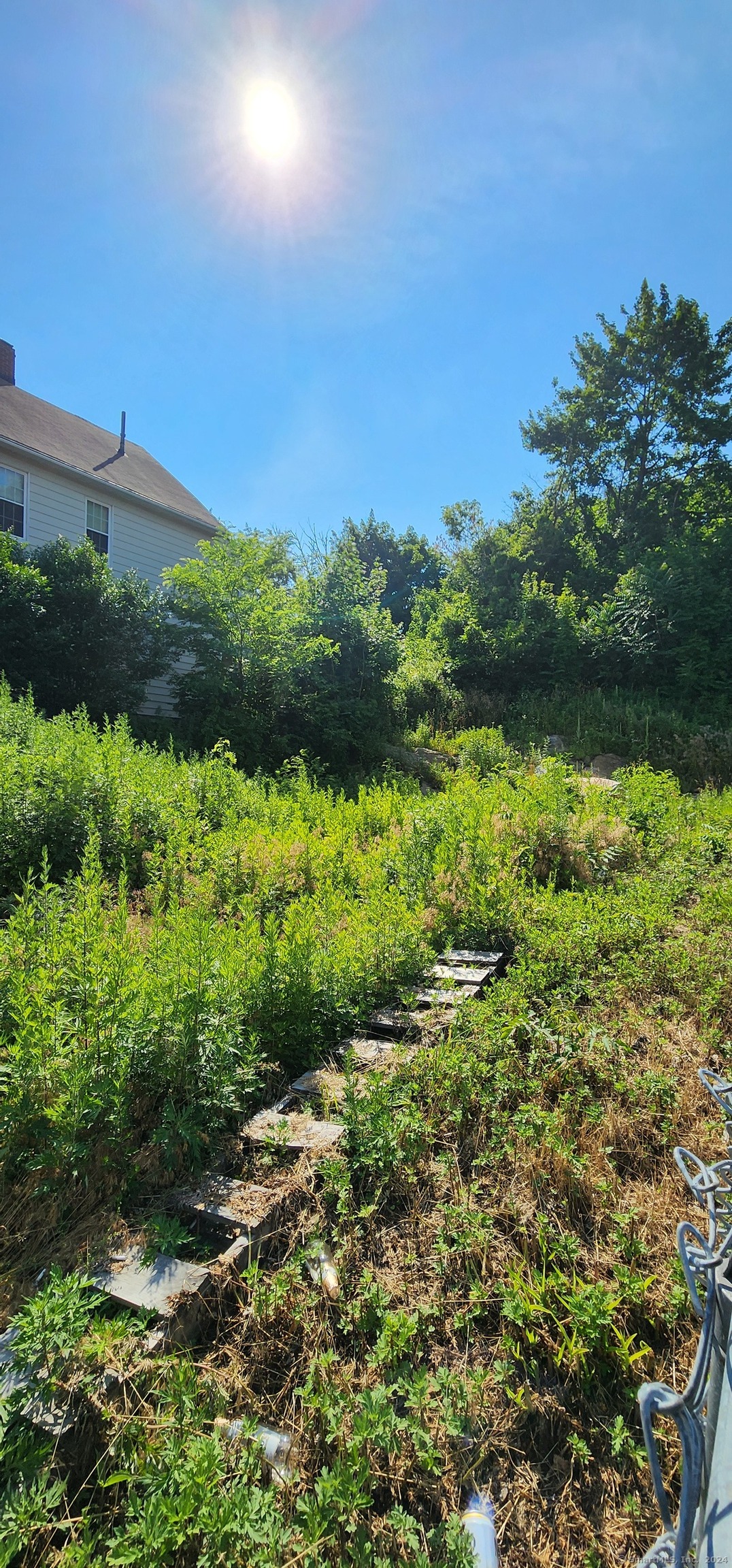 a view of a garden with an ocean