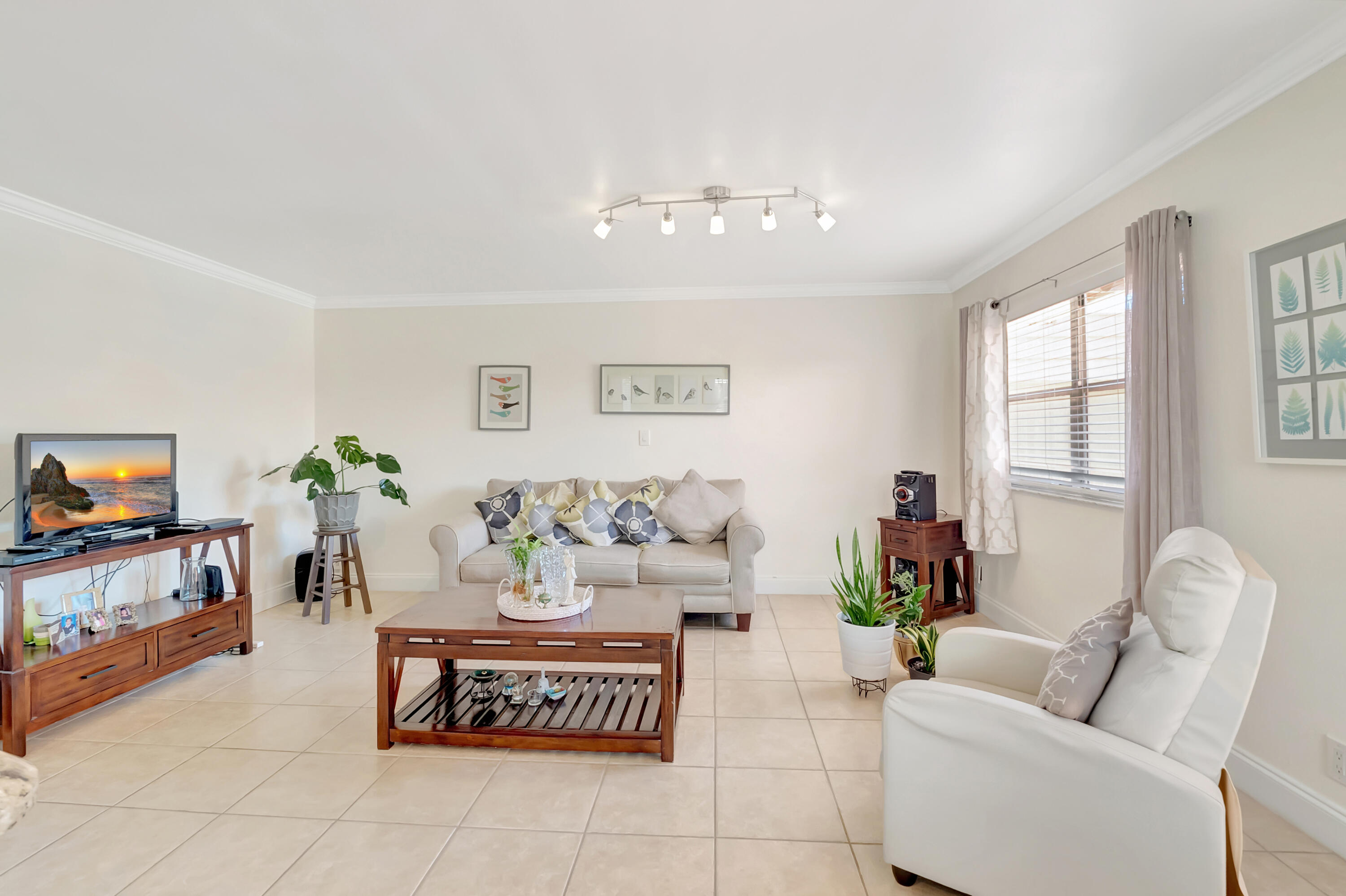 a living room with furniture flowerpot and window