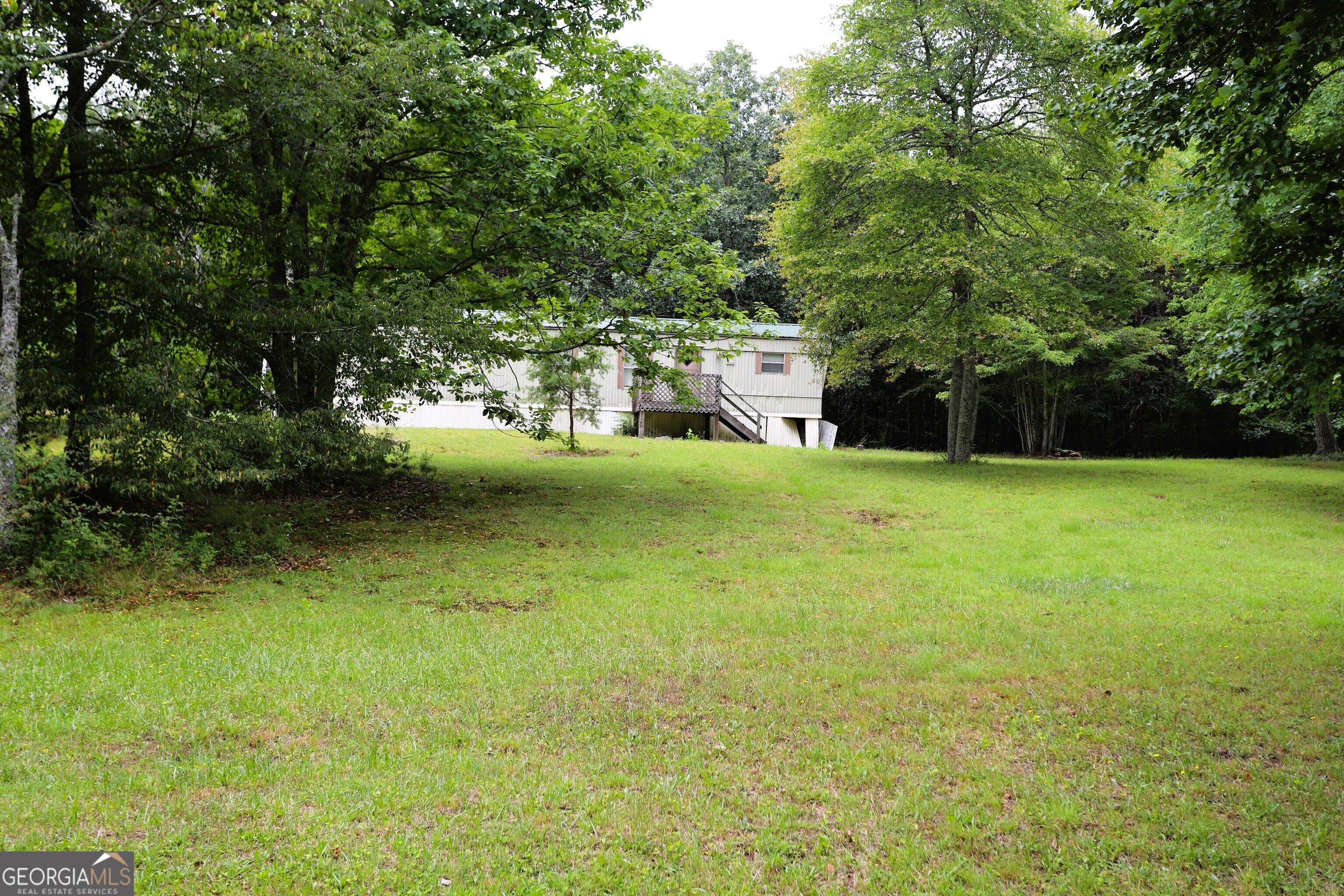 a view of a yard with a trees