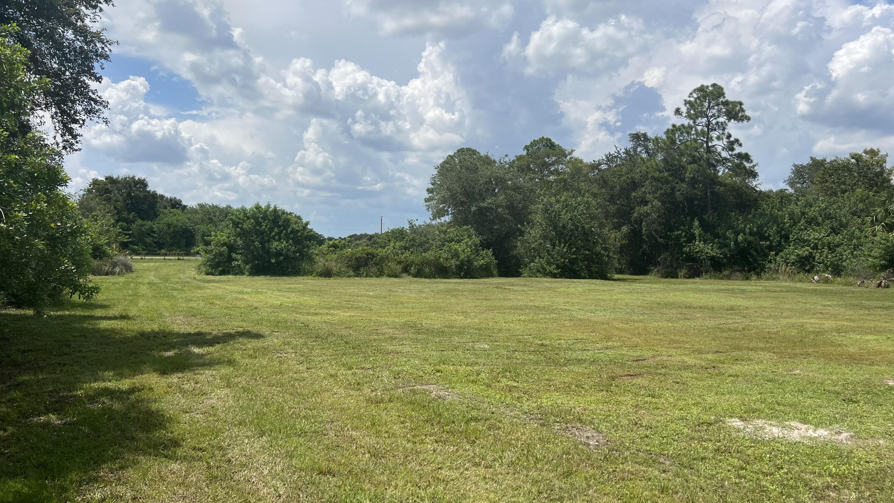 a view of a field with an trees