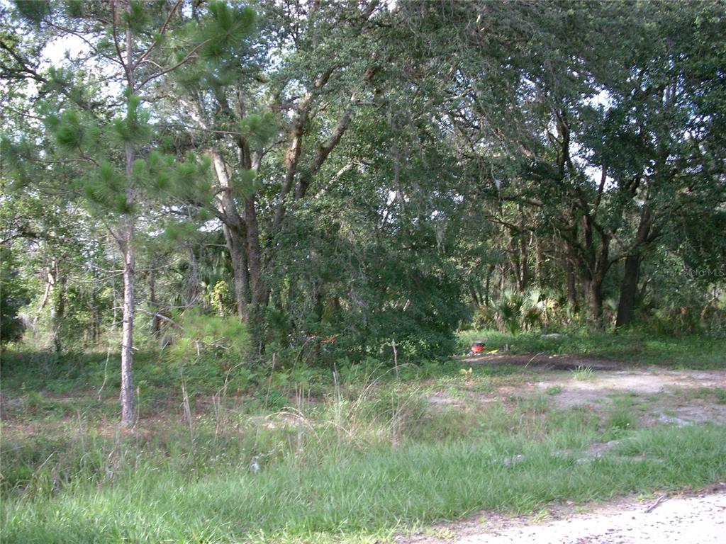 a view of outdoor space and green space