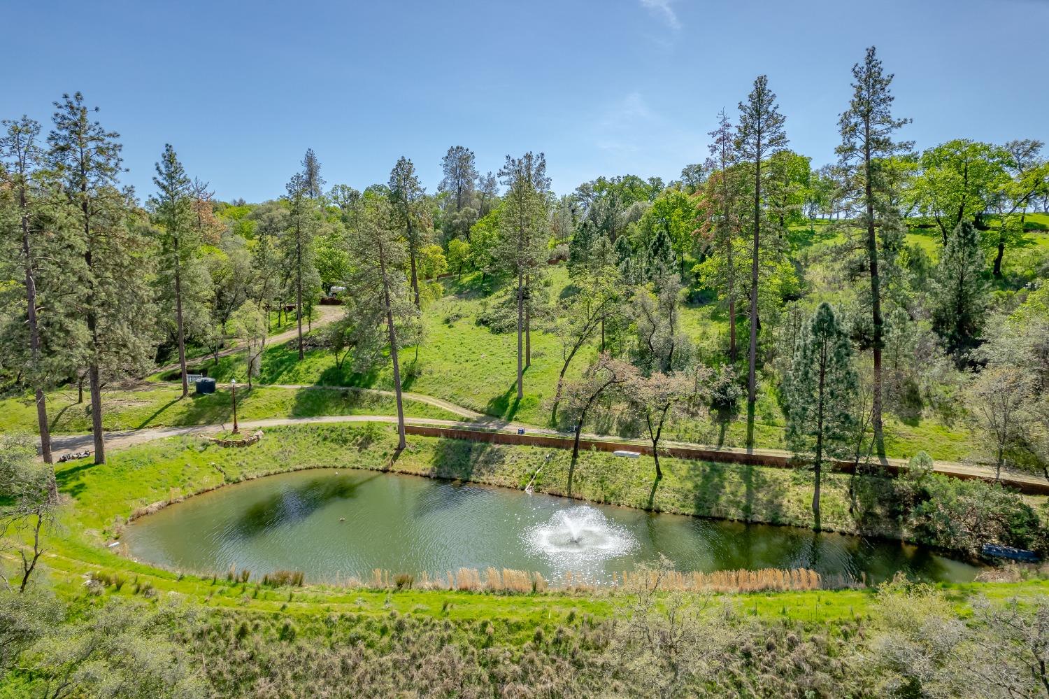 a view of a water pond with green space