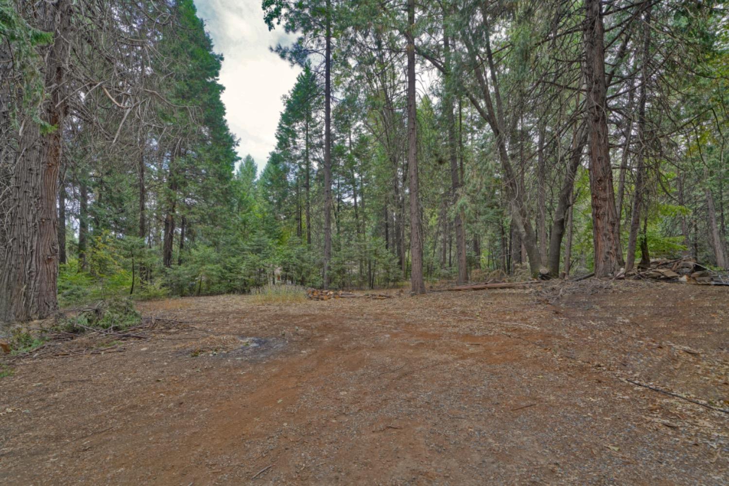 a view of outdoor space with trees