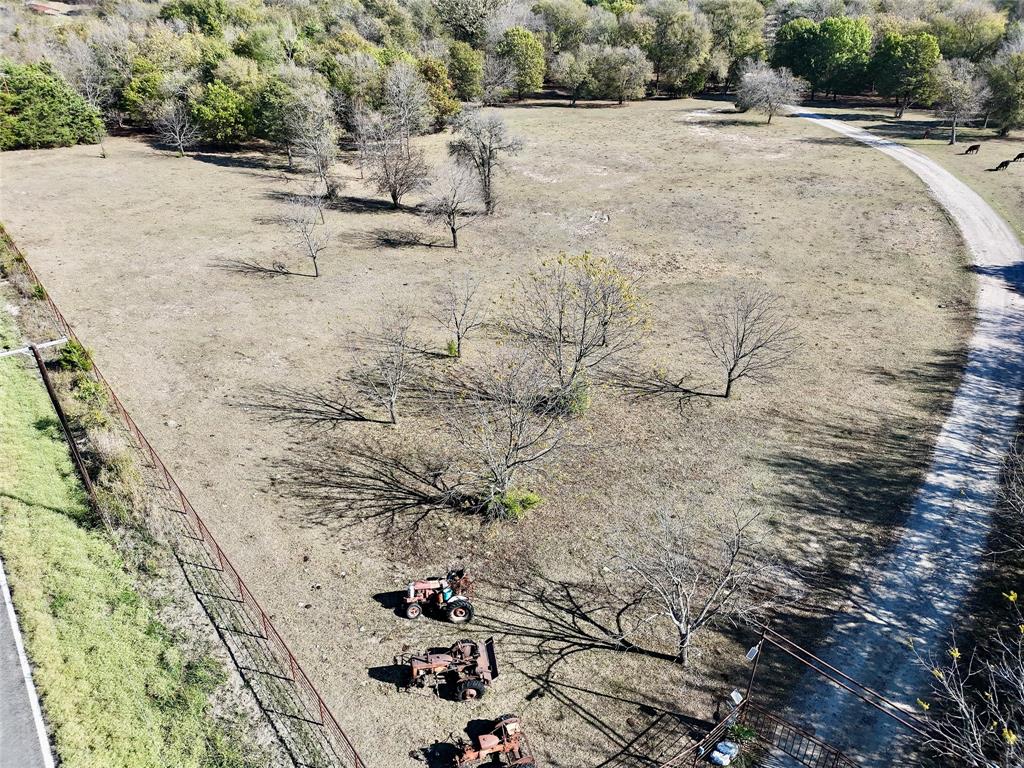 a view of a dry yard with trees