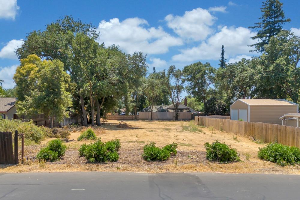 a view of a yard with plants and a fountain