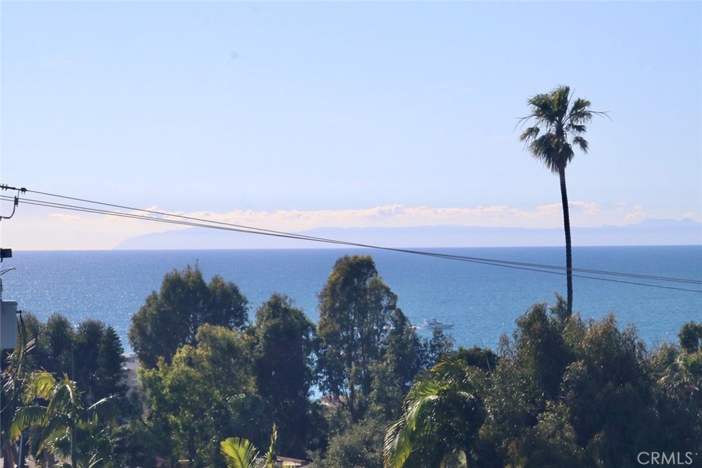 View from rooftop deck