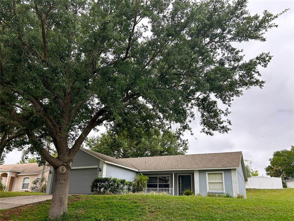 a house with a tree in front of it