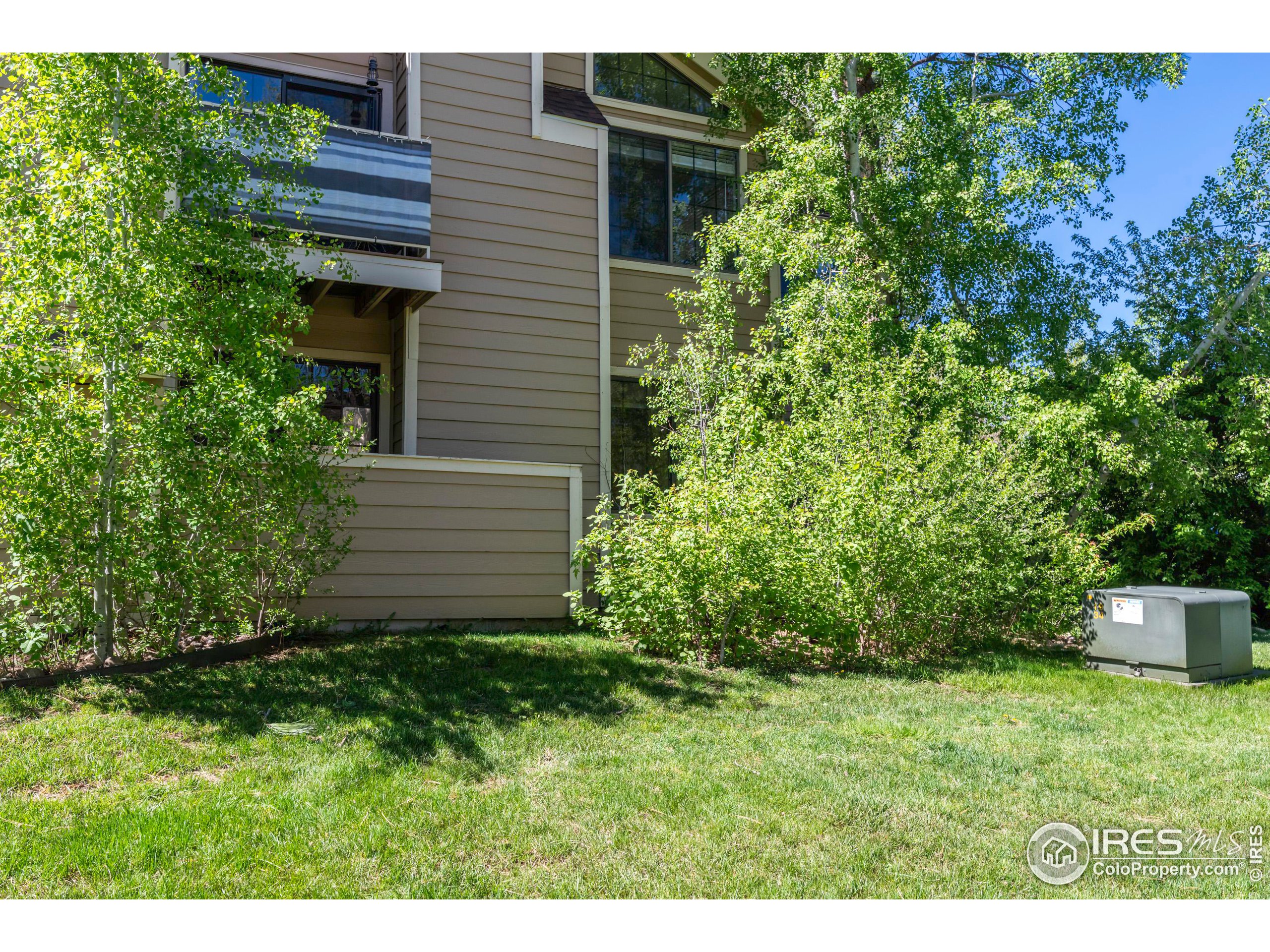 a view of a backyard with potted plants and large tree