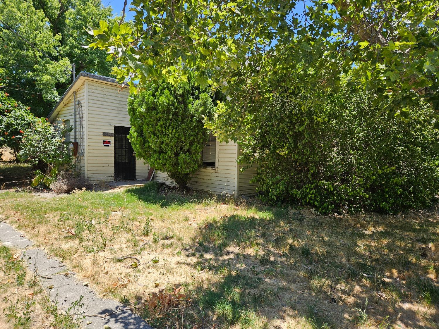 a backyard of a house with a large tree