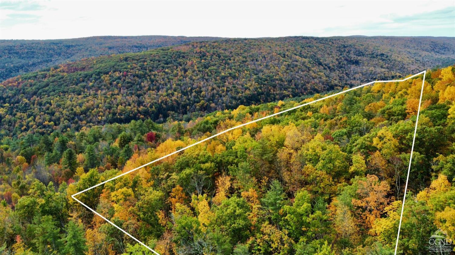 a view of a mountain